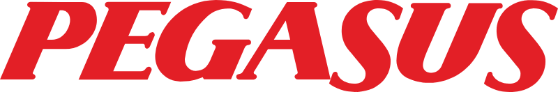 Pegasus Airlines
